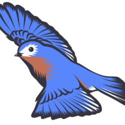 bluebird-small von Arne S. Reismueller